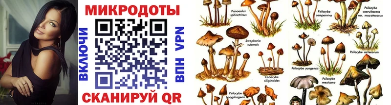 наркотики  KRAKEN ССЫЛКА  Галлюциногенные грибы мухоморы  Кириши 