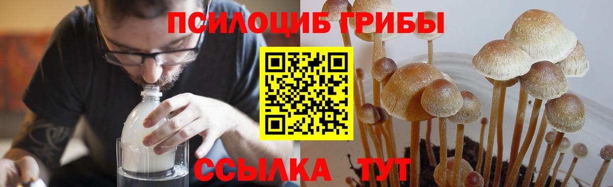 Галлюциногенные грибы Magic Shrooms Кириши